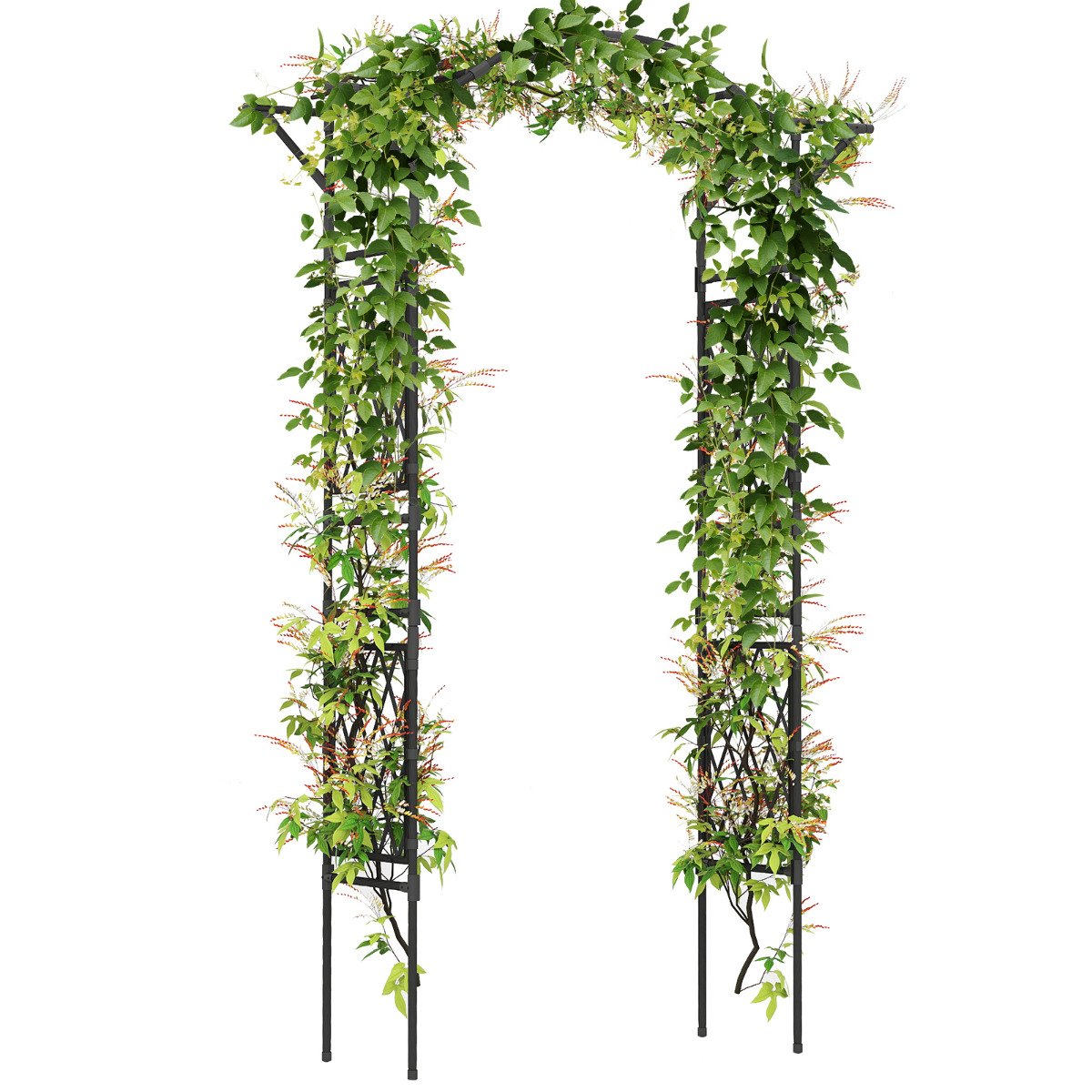 170 x 210 cm Garden Arch Trellis for Climbing Plants-