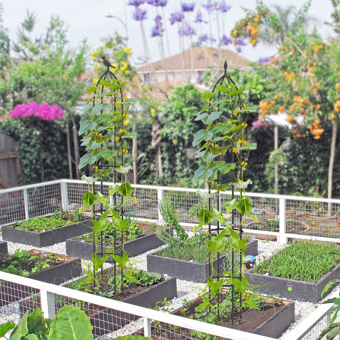 2-Pack 197 cm Garden Trellis for Climbing Plants-