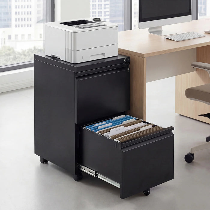 2-Drawer Mobile File Cabinet with 5 Casters and 2 Keys for A4-