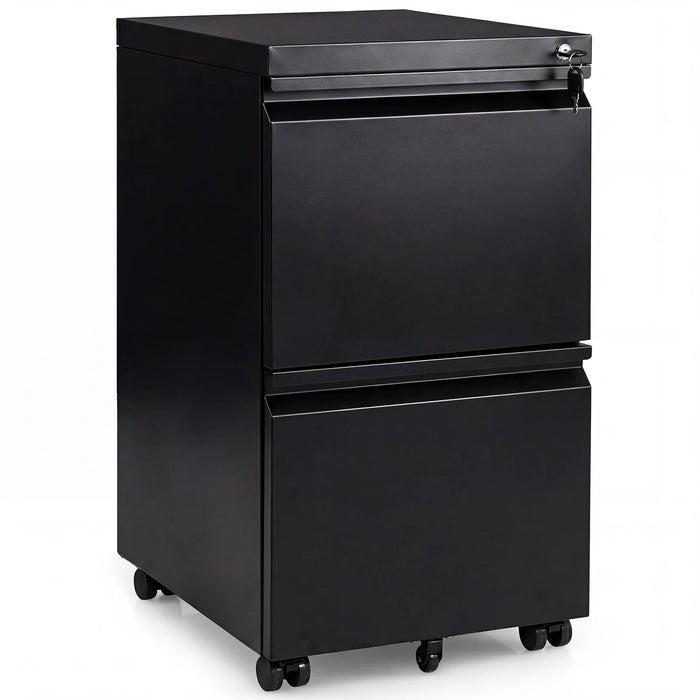 2-Drawer Mobile File Cabinet with 5 Casters and 2 Keys for A4-