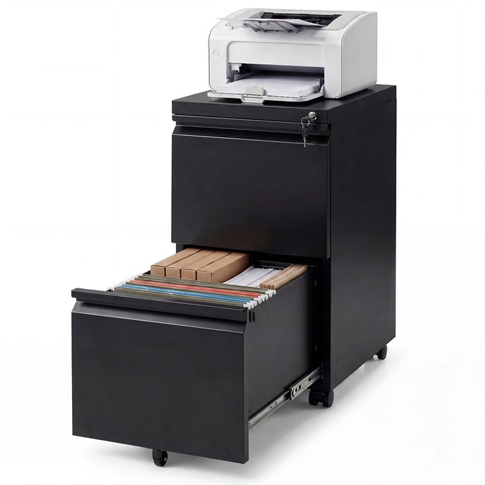2-Drawer Mobile File Cabinet with 5 Casters and 2 Keys for A4-