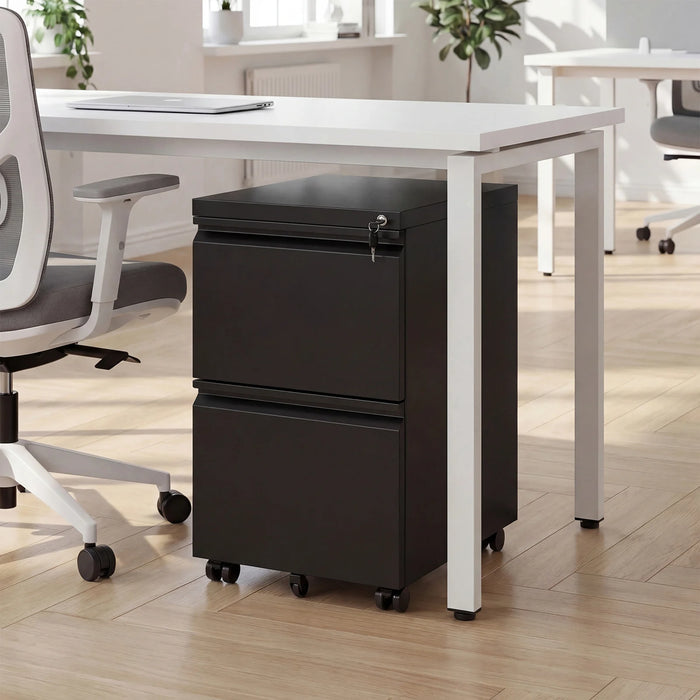 2-Drawer Mobile File Cabinet with 5 Casters and 2 Keys for A4-