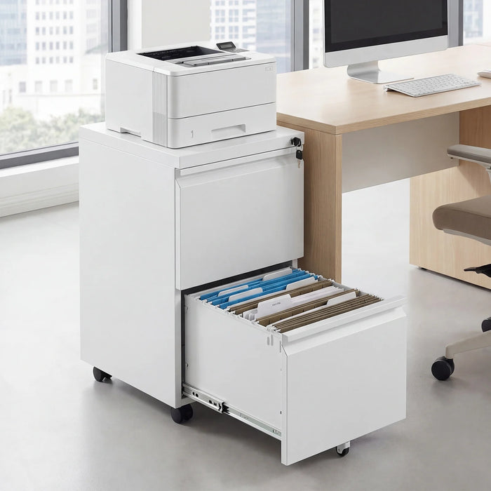 2-Drawer Mobile File Cabinet with 5 Casters and 2 Keys for A4-