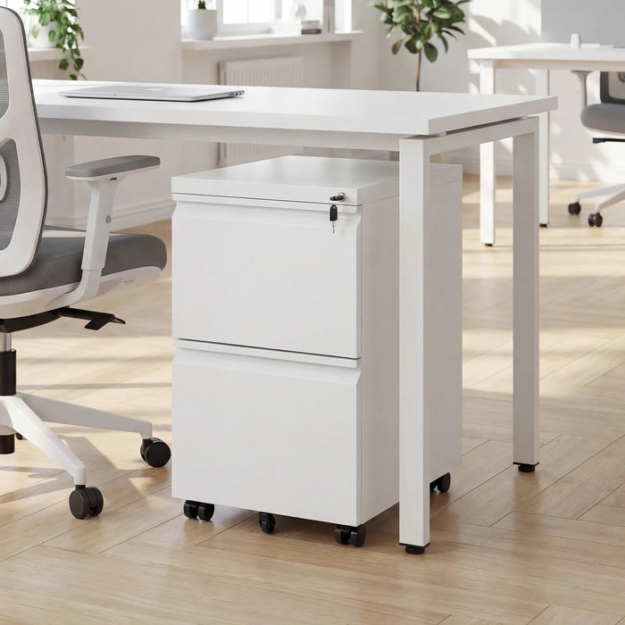 2-Drawer Mobile File Cabinet with 5 Casters and 2 Keys for A4-