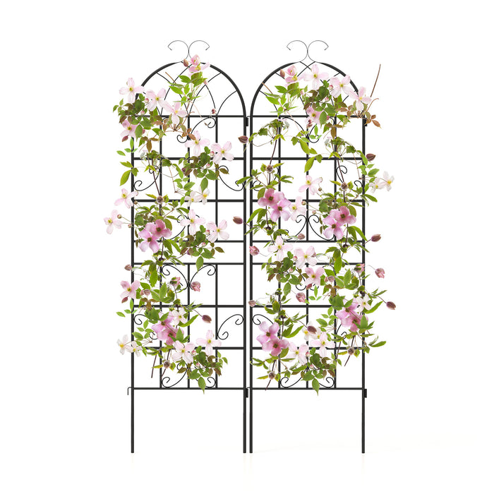 2/4 Pack 180 cm x 50 cm Metal Garden Trellis Decorative for Climbing Plants-