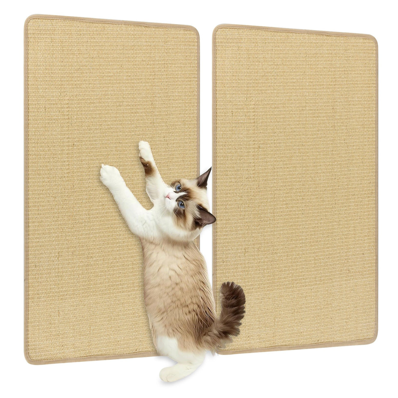Cat Furniture Accessories