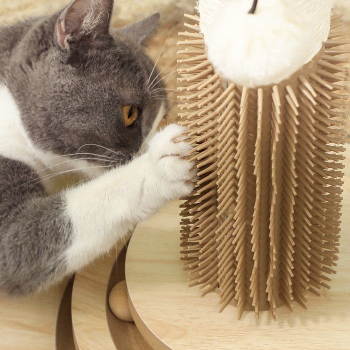 PawHut 49cm 5 in 1 Cat Scratching Post with Sisal Post, Track Ball Toy, Self Grooming Brush, Hanging Toy Ball, Feather, Oak | Aosom UK