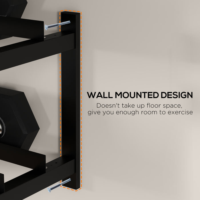 SPORTNOW Wall-Mounted Dumbbell Rack, 2-Tier Weight Stand, Space-Saving and Multi-Functional Steel organiser for Home Gym, Black