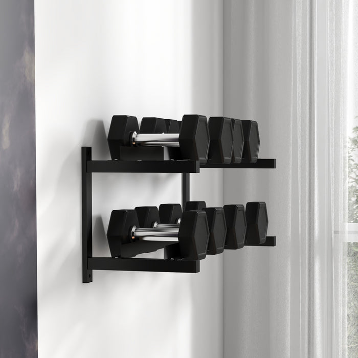 SPORTNOW Wall-Mounted Dumbbell Rack, 2-Tier Weight Stand, Space-Saving and Multi-Functional Steel organiser for Home Gym, Black