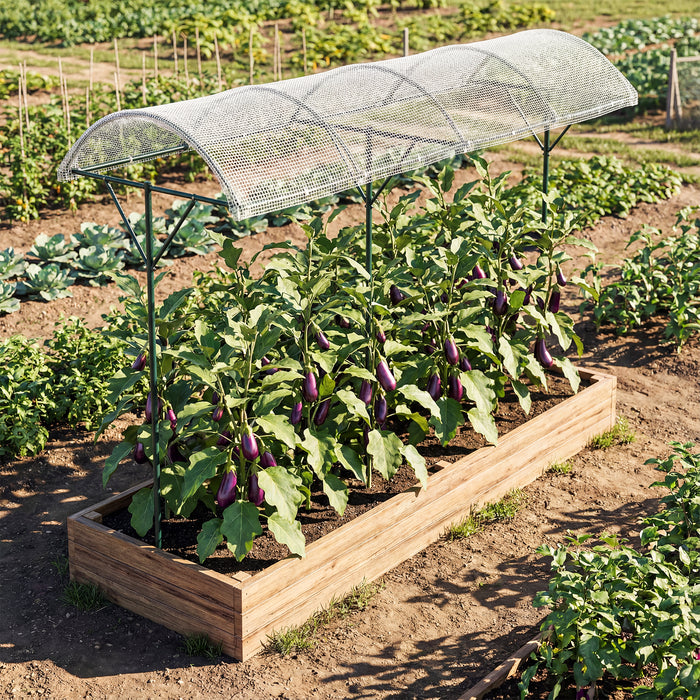 Climbing Vegetables Fruits Flowers Shelter with PVC Canopy and Metal Stand