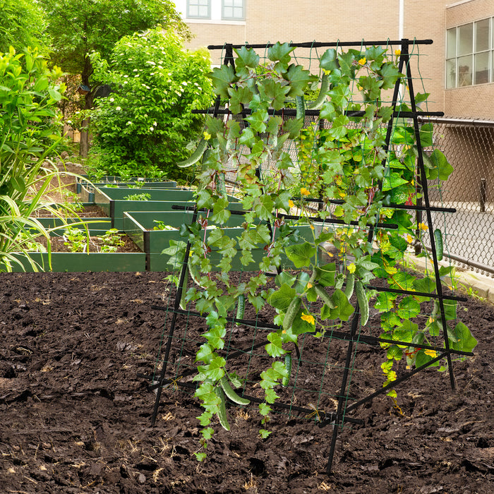 Climbing Plants Outdoor Trellis - Cucumber Support Frame - Perfect for Vegetable Gardeners