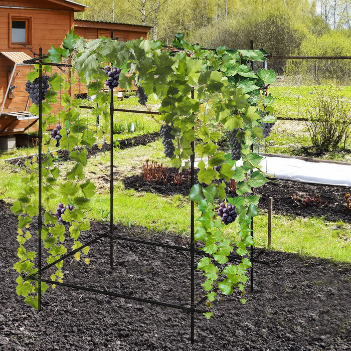 Climbing Plants Outdoor Trellis - Cucumber Support Frame - Perfect for Vegetable Gardeners