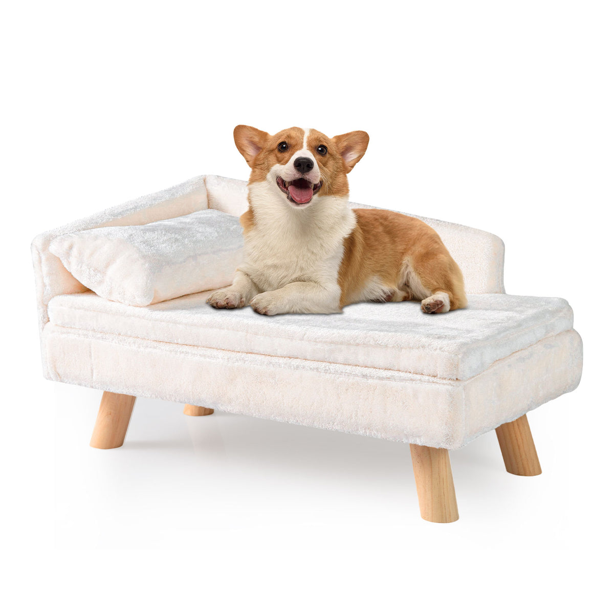 Elevated Pet Bed for Medium and Small Dogs Puppies Cats Kittens-