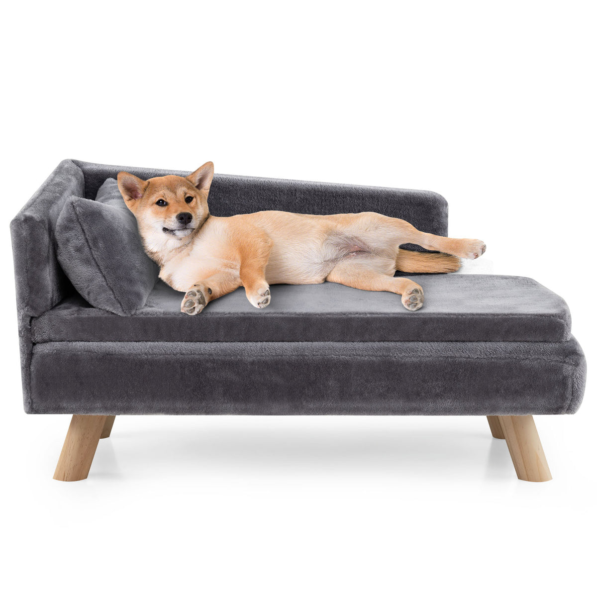 Elevated Pet Bed for Medium and Small-Sized Dogs Puppies Cats Kittens-