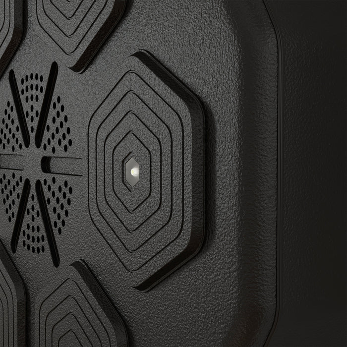 Punch Pro AudioBox - Wall-Mounted Beat Boxing Machine with Bluetooth & LED Lights - Perfect for Rhythmic Boxing Workouts