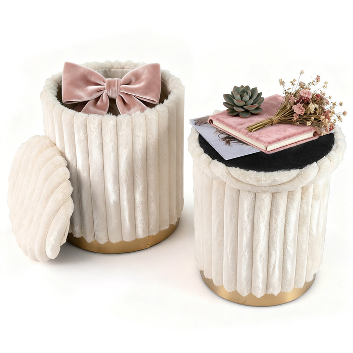 Modern Ottoman Set of 2 with Detachable Lids and Hidden Storage Space-