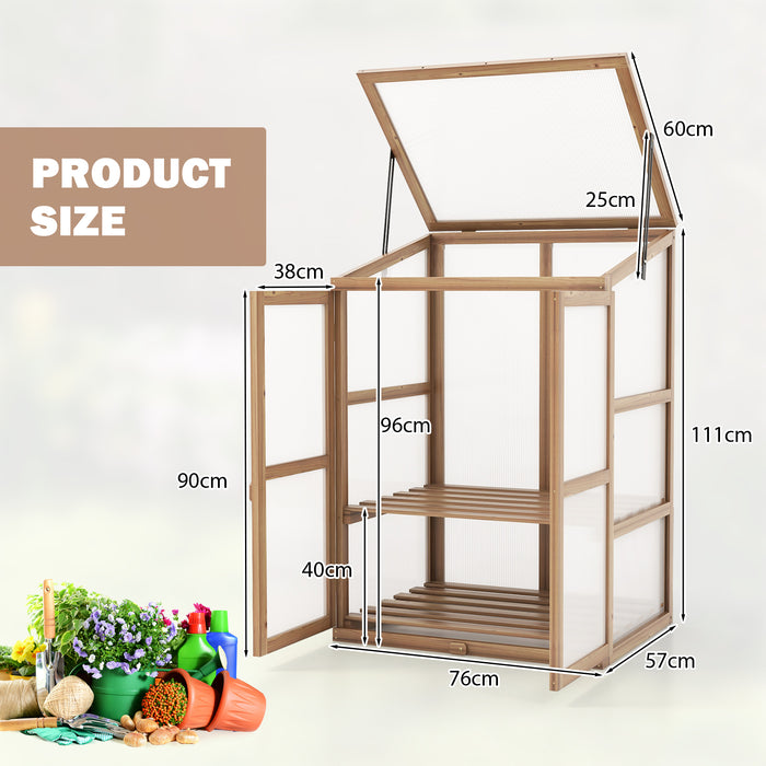 Mini Wooden Greenhouse - Portable Design with 2 Removable Shelves - Ideal for Small Scale Gardening and Plant Protection