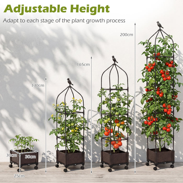 Raised Garden Bed Planter Box with Obelisk Trellis 200 cm-