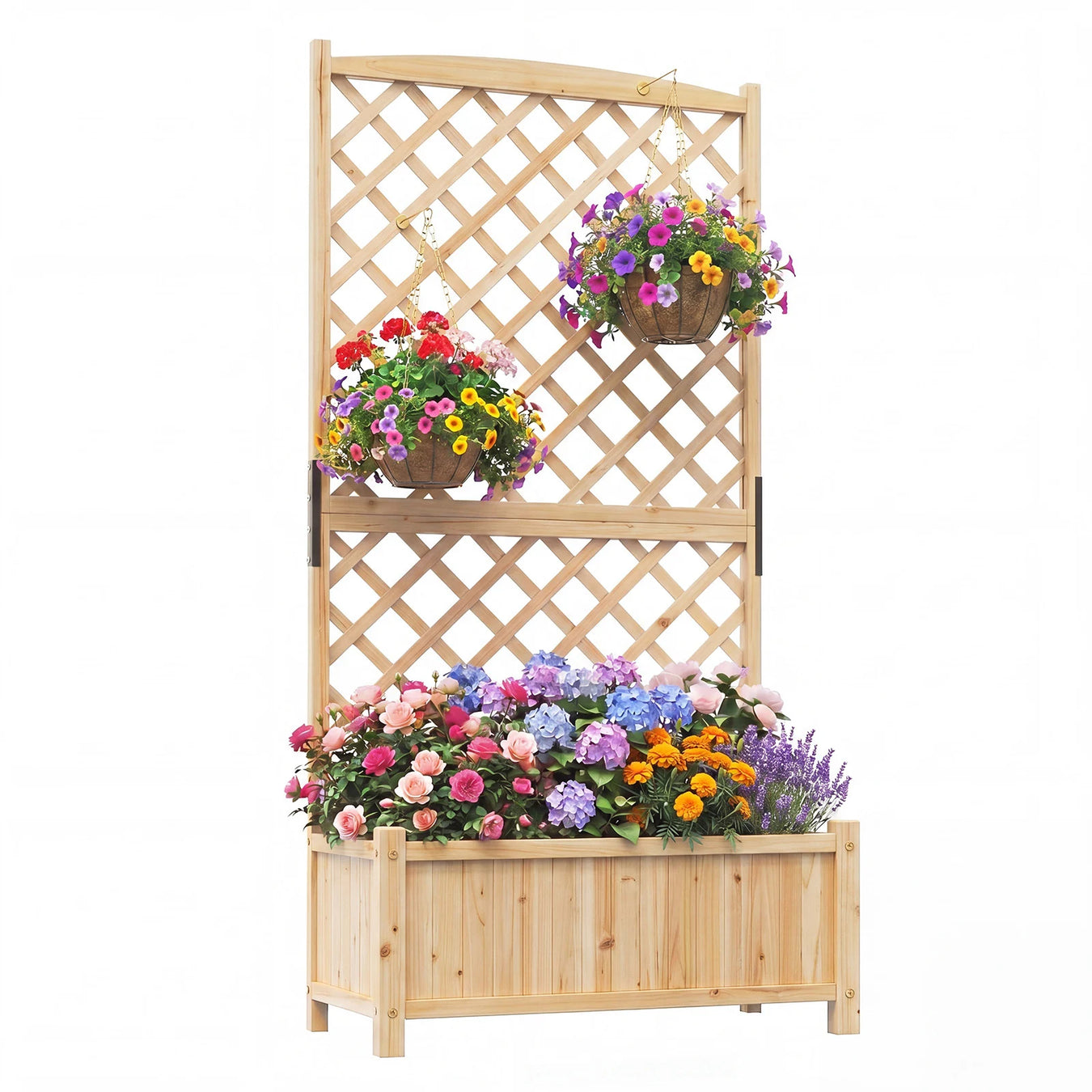 Lattice