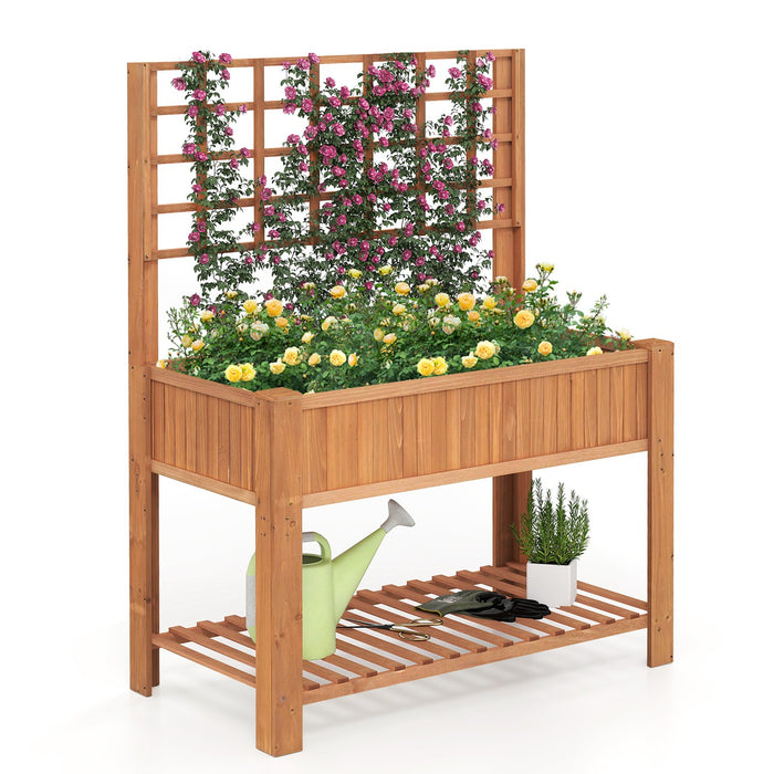 Raised Garden Bed with Trellis Wooden Elevated Planter Box with Legs-
