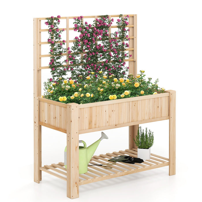 Raised Garden Bed with Trellis Wooden Elevated Planter Box with Legs-