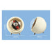 USB Motor Watch Winder Box for Automatic Watches — Rotating Display