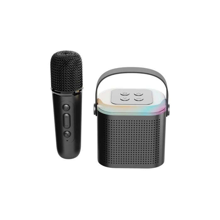 Dual Microphone Karaoke Machine - Portable System with Wireless Microphones and Bluetooth PA Speaker - Ideal for Adults and Kids Home Entertainment