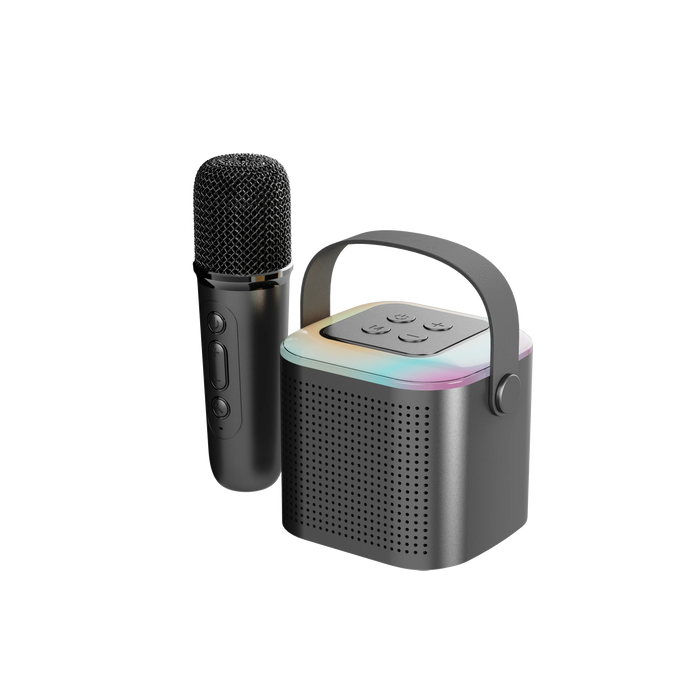 Dual Microphone Karaoke Machine - Portable System with Wireless Microphones and Bluetooth PA Speaker - Ideal for Adults and Kids Home Entertainment