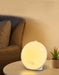 Wake Up Light Alarm Clock — Sunrise/Sunset Simulation, FM Radio & Night Light