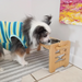 Adjustable Wooden Raised Pet Bowl Stand with 2 Stainless Steel Bowls for Small Dogs & Cats