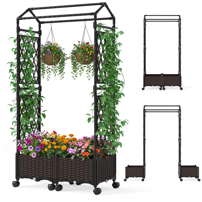 Self-Watering Planter Boxes with Lattice Trellis and Roof for Climbing Vine-