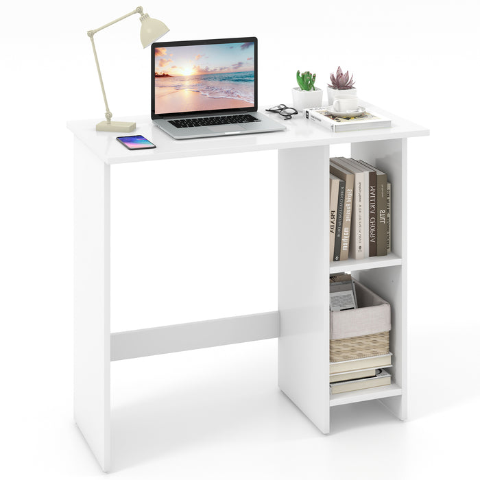 Small Computer Desk with Storage and Adjustable Shelf-