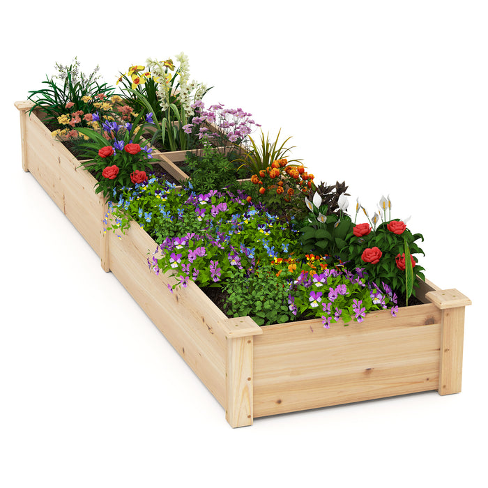 Wooden Raised Garden Bed with 2 Planter Boxes and Dividers-