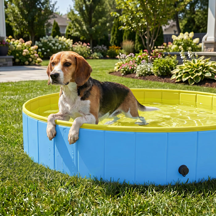 PawHut Foldable Dog Pool for Puppies and Ducks Dog Paddling Pool Bath Tub, Blue, 120 x 30cm