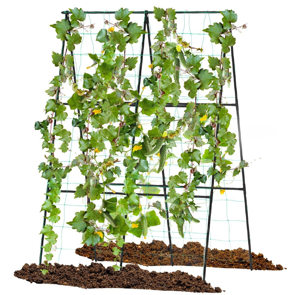 A-Frame Outdoor Trellis for Climbing Plants Garden Trellis