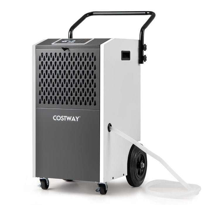 73 L/Day Commercial Dehumidifier with Drain Hose and Timer-Orange