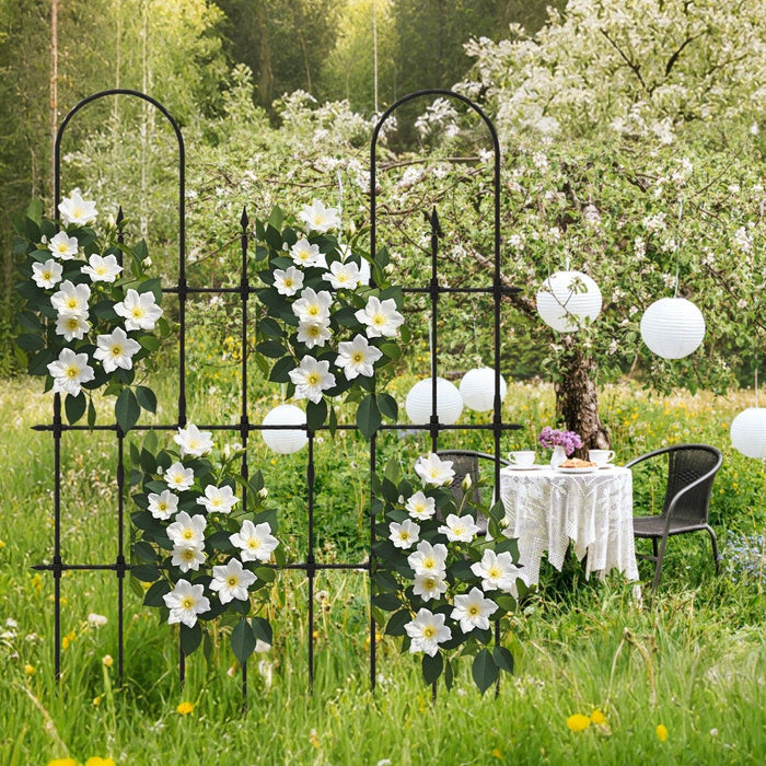 146 cm L x 186 cm H Garden Rose Arch Trellis for Climbing Plants