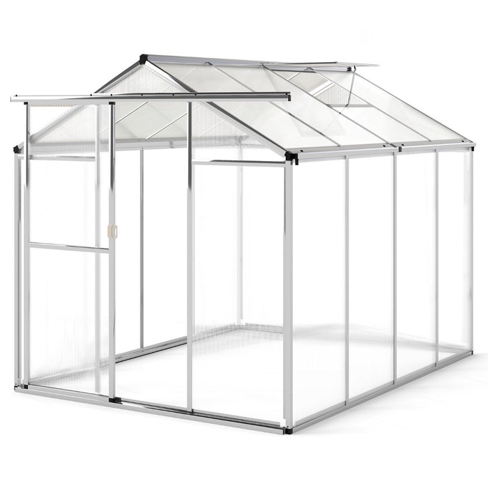 185 x 185 cm/244 x 185 cm Greenhouse Large Walk-in Green House-