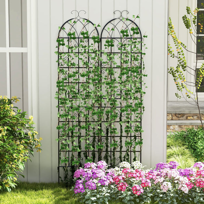 2 Pack Metal Garden Trellis, 220 x 50 cm - Ideal for Climbing Plants - Perfect Solution for Garden Decor and Plant Support