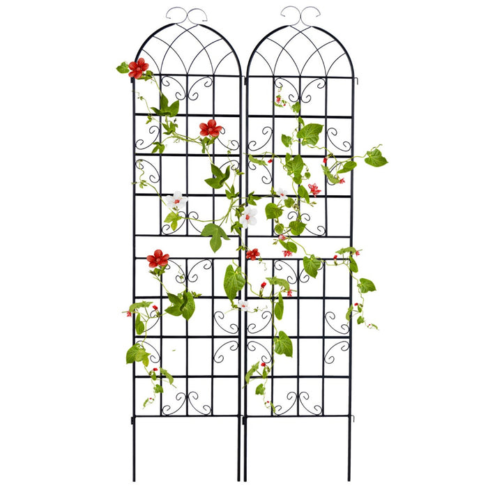2 Pack Metal Garden Trellis, 220 x 50 cm - Ideal for Climbing Plants - Perfect Solution for Garden Decor and Plant Support