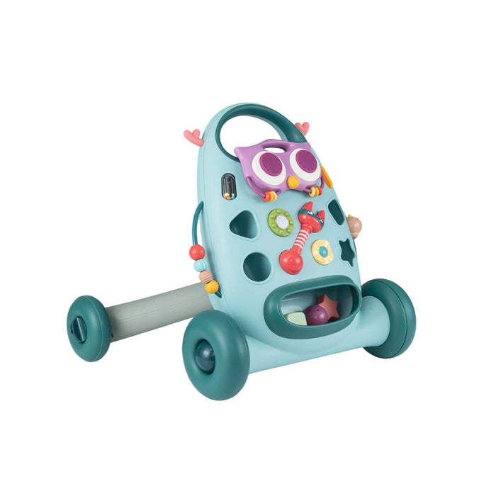 Montessori Baby Walker Toddler Educational Push Toy with Removable Oval Player and Shape Sorter-