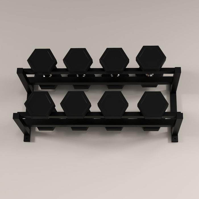SPORTNOW Wall-Mounted Dumbbell Rack, 2-Tier Weight Stand, Space-Saving and Multi-Functional Steel organiser for Home Gym, Black