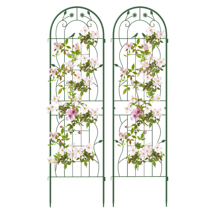2/4 Pack Metal Garden Trellis for Climbing Plants-