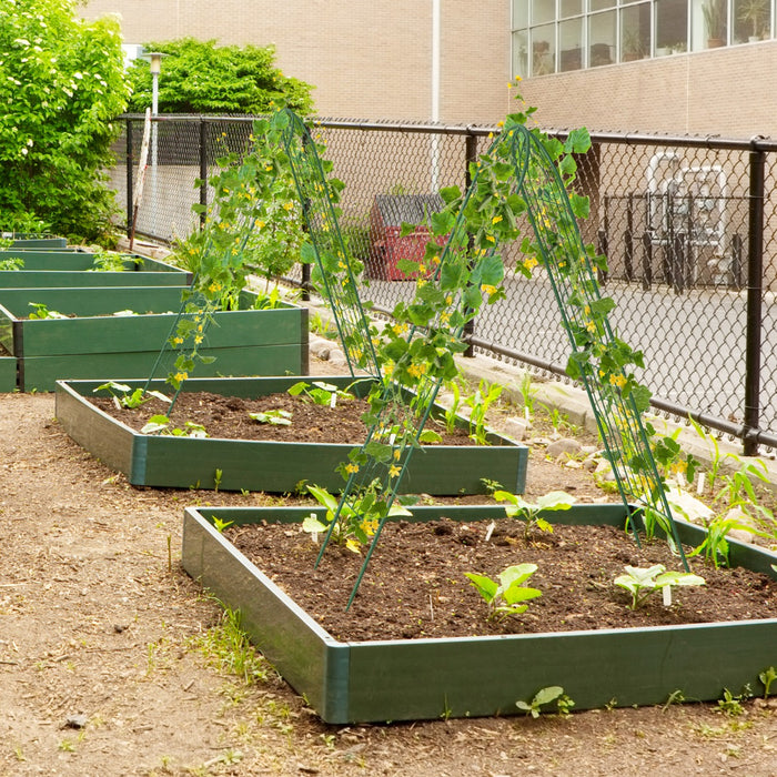 2/4 Pack Metal Garden Trellis for Climbing Plants-