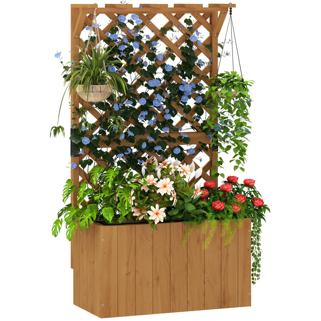 Pots & Planters