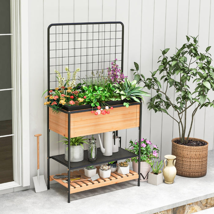 Raised Garden Bed with Trellis and 2-tier Storage Shelves-