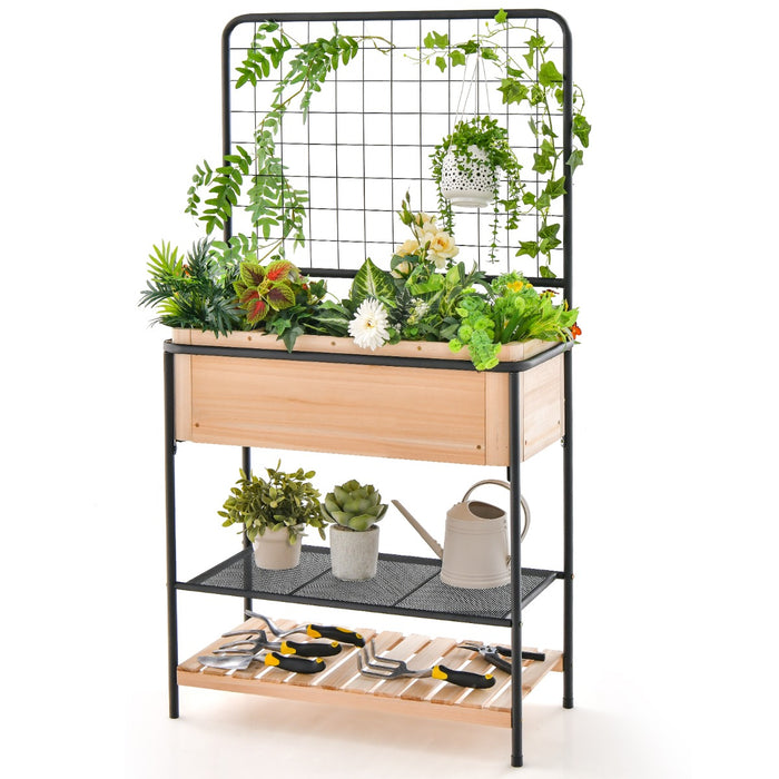 Raised Garden Bed with Trellis and 2-tier Storage Shelves-