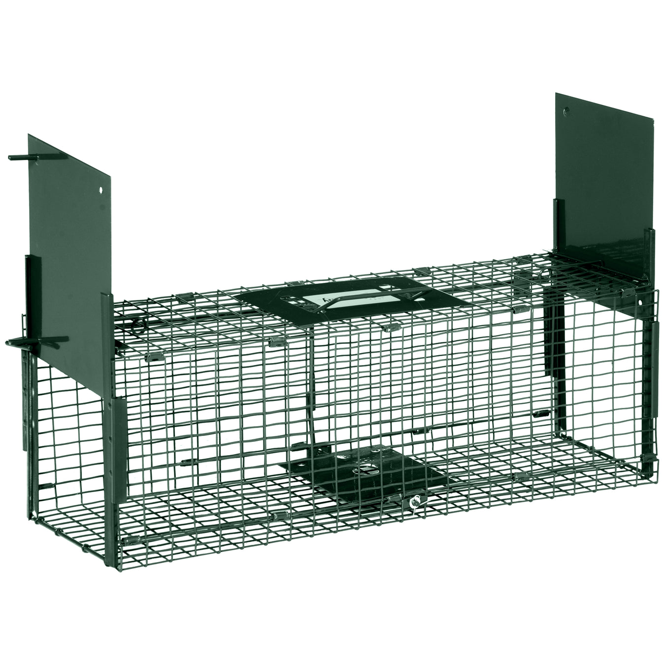 Animal Traps