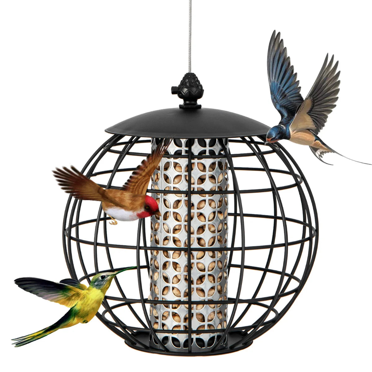 Bird & Wildlife Feeders