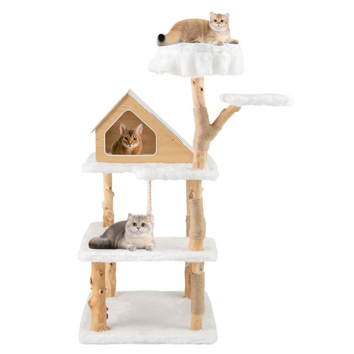 149 cm Tall Solid Wood Cat Tree with 2 Perches Condo and Jute Scratching Posts-